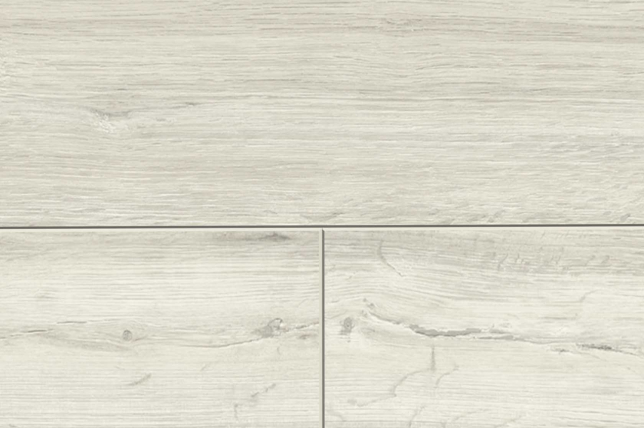 MUSTER FLOOR24 Laminat Landhausdiele 4V 832-4 Eiche creme 8 mm
