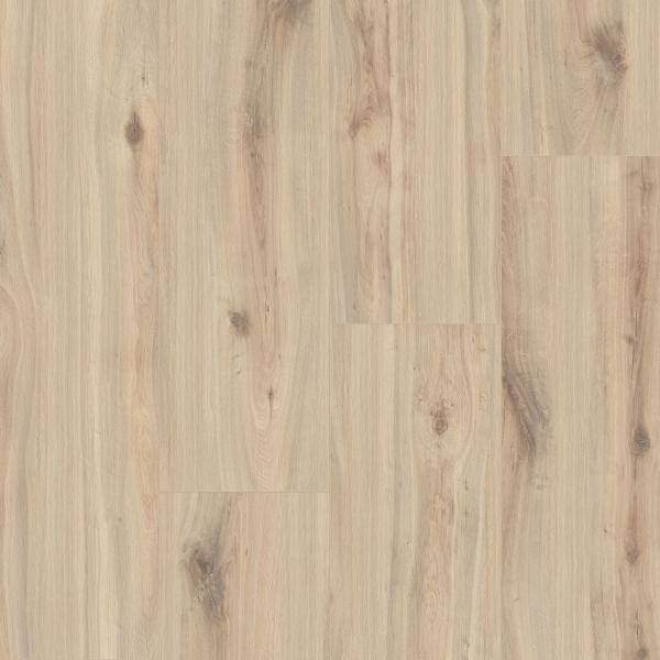 MUSTER Laminat Landhausdiele 4V XL Pletzen 8 mm