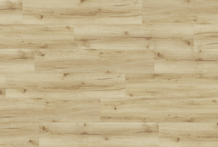 Komplett-Set Multilayer SofTec Eiche Cumin Landhausdiele XL 8,0/0,5mm