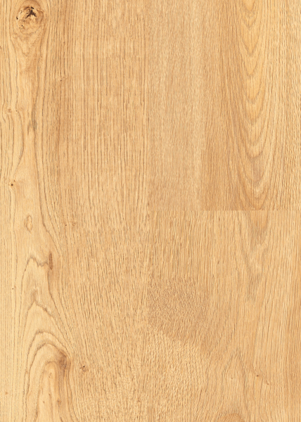 MUSTER Klebe-Vinyl Eternal Dryback Autumn Oak Brown 2,5 mm ökologisch