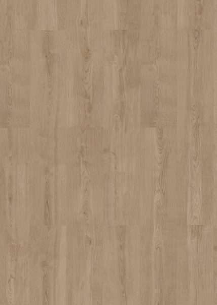 MUSTER Klebe-Vinyl Eternal Dryback Soft Oak Grey 2,5 mm ökologisch