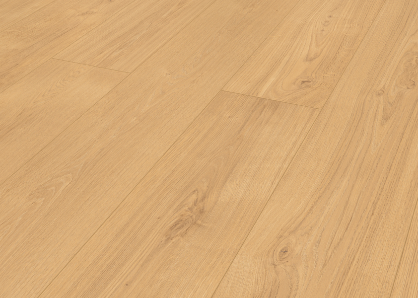 Komplett-Set Klebe-Vinyl Eternal Dryback Velvet Oak Brown 2,5 mm ökologisch