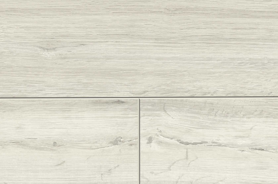 MUSTER FLOOR24 Laminat Landhausdiele 4V 832-4 Eiche creme 8 mm