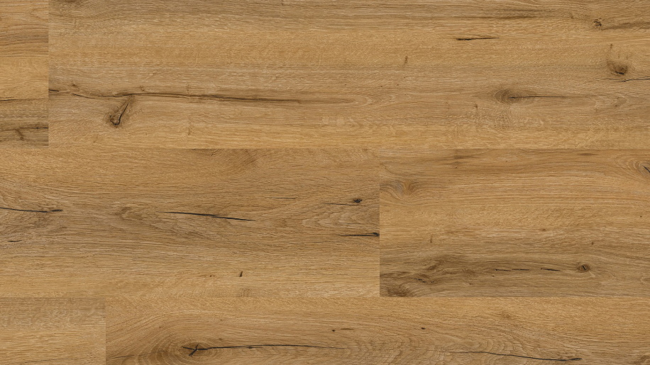 MUSTER Klick-Vinyl Landhausdiele Eiche Forset 7mm/0,55 wasserresistent TS Kork