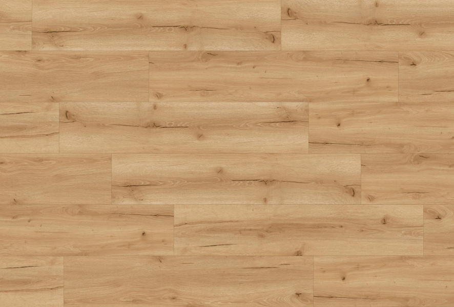 MUSTER Multilayer SofTec Eiche Lein Landhausdiele XL 8,0/0,5mm